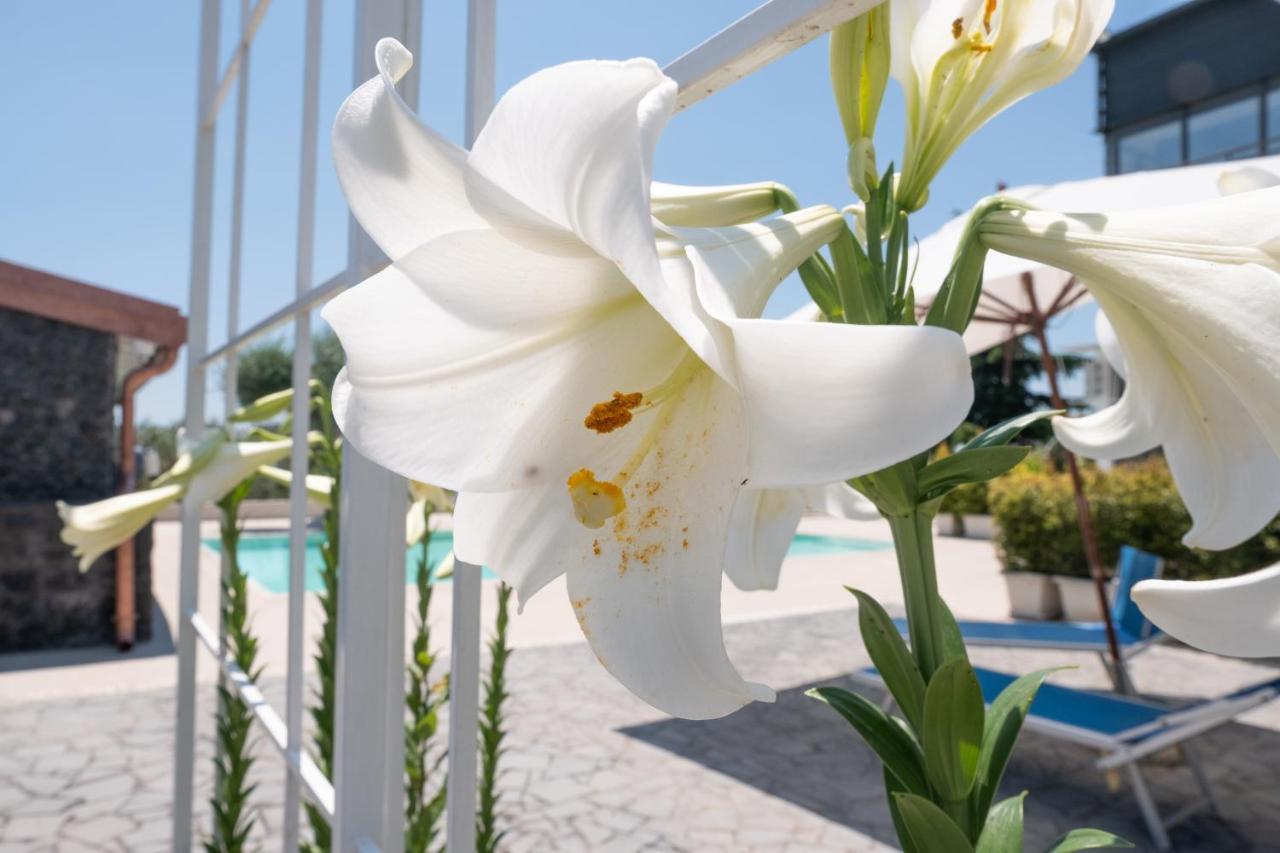 Lux Suite Sicily มาสกาลูเชีย ภายนอก รูปภาพ